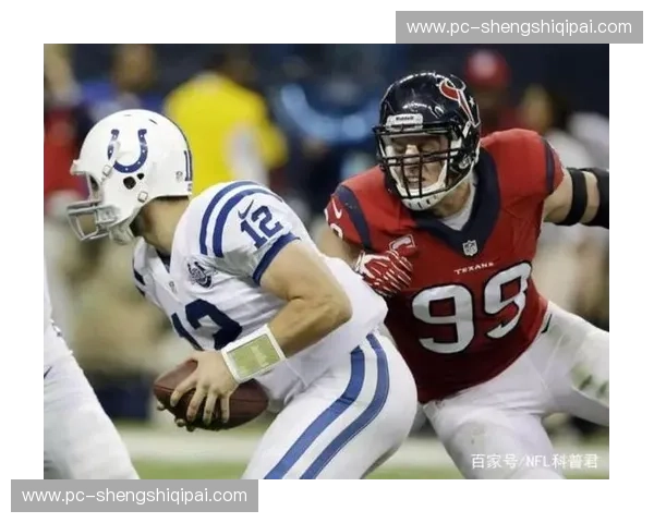 深入了解NFL官网——美国橄榄球的魅力世界