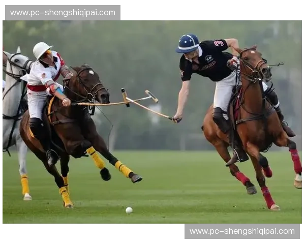 预测马术：用数据读懂马背上的未来